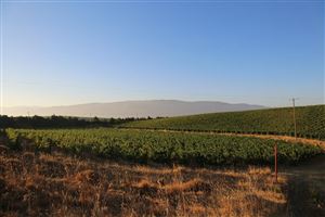 /Gallery/Events/ChateauKefraya/chateau Kefraya.jpg